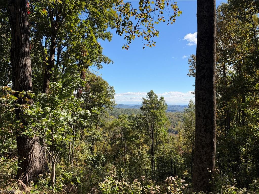 Unimproved Land at TBD Vannoy Ridge Road, Moravian Falls NC 28654, photo 5 of 46