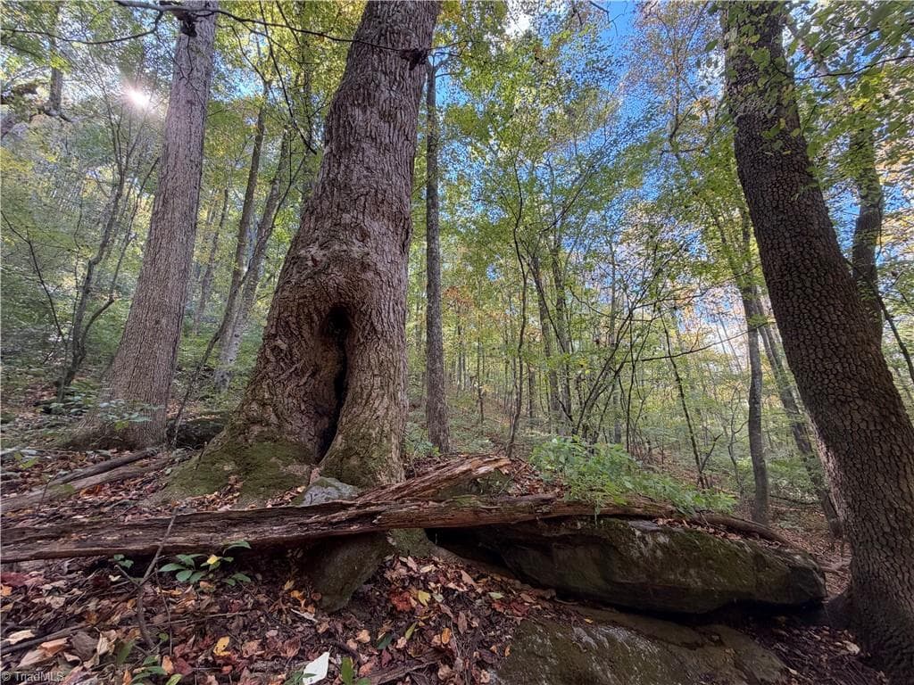 Unimproved Land at TBD Vannoy Ridge Road, Moravian Falls NC 28654, photo 20 of 46