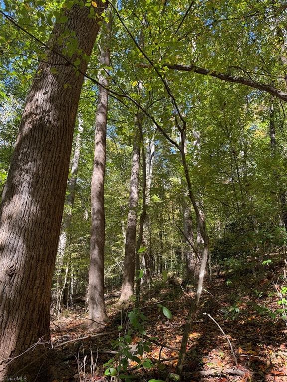 Unimproved Land at TBD Vannoy Ridge Road, Moravian Falls NC 28654, photo 9 of 46