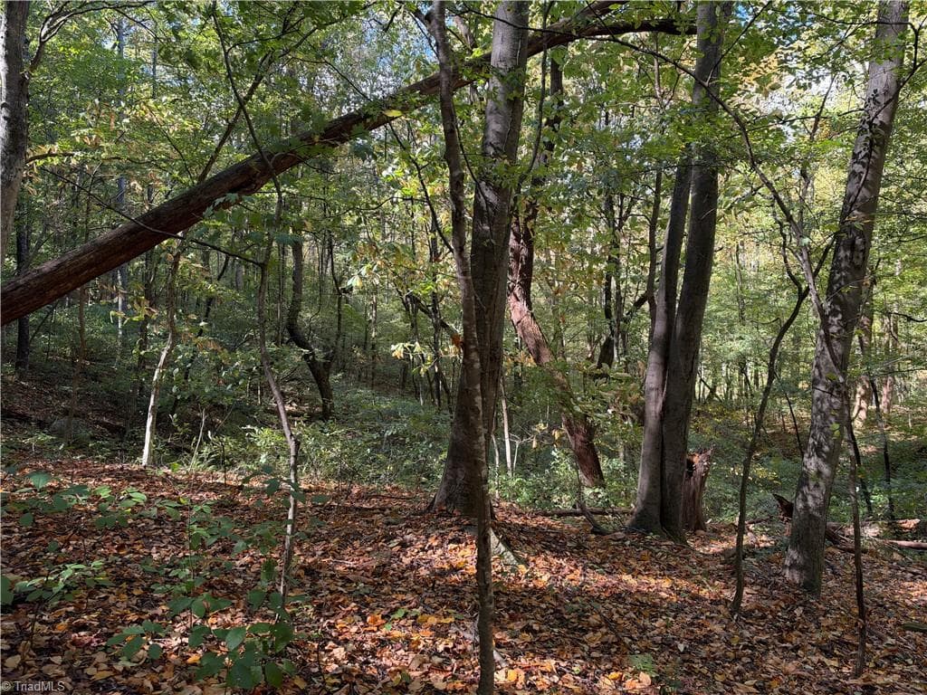 Unimproved Land at TBD Vannoy Ridge Road, Moravian Falls NC 28654, photo 24 of 46