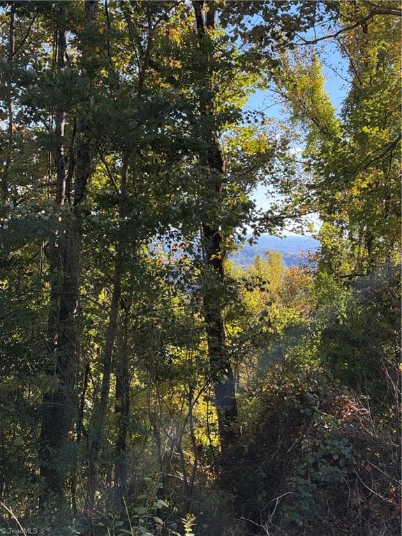 Unimproved Land at TBD Vannoy Ridge Road, Moravian Falls NC 28654, photo 38 of 46