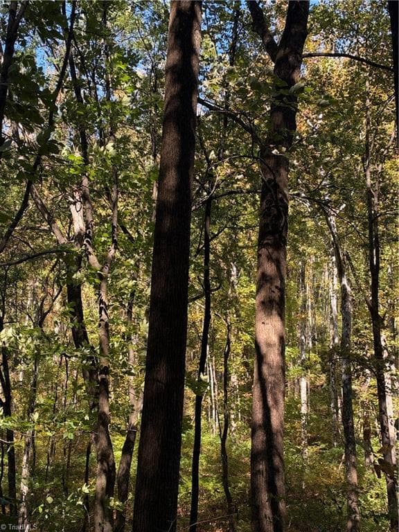 Unimproved Land at TBD Vannoy Ridge Road, Moravian Falls NC 28654, photo 33 of 46