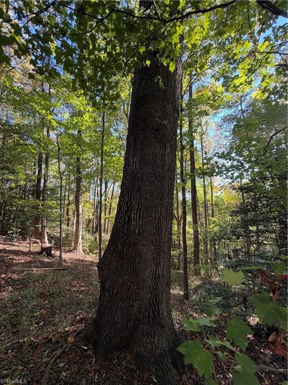 Unimproved Land at TBD Vannoy Ridge Road, Moravian Falls NC 28654, photo 41 of 46