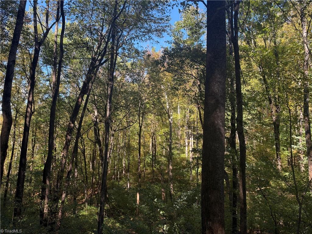 Unimproved Land at TBD Vannoy Ridge Road, Moravian Falls NC 28654, photo 37 of 46