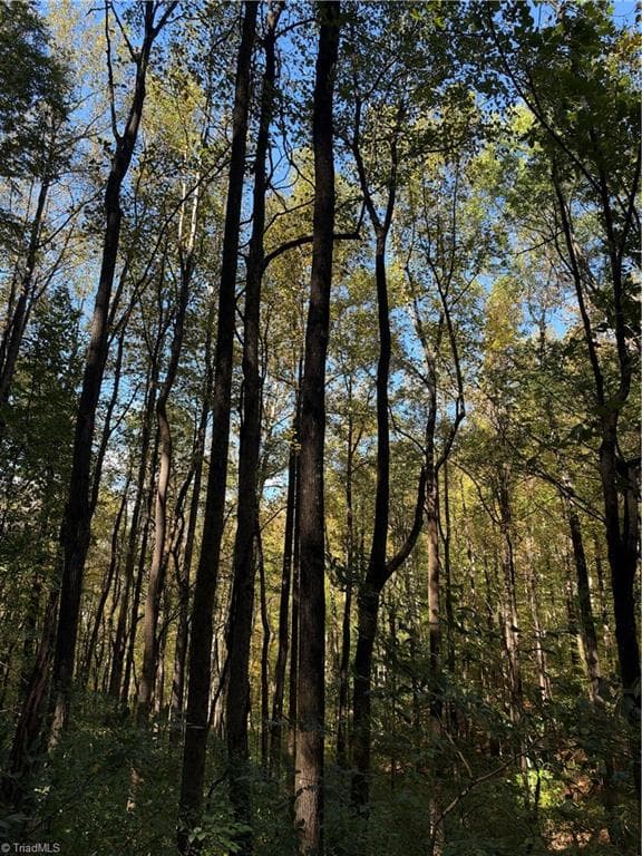 Unimproved Land at TBD Vannoy Ridge Road, Moravian Falls NC 28654, photo 35 of 46