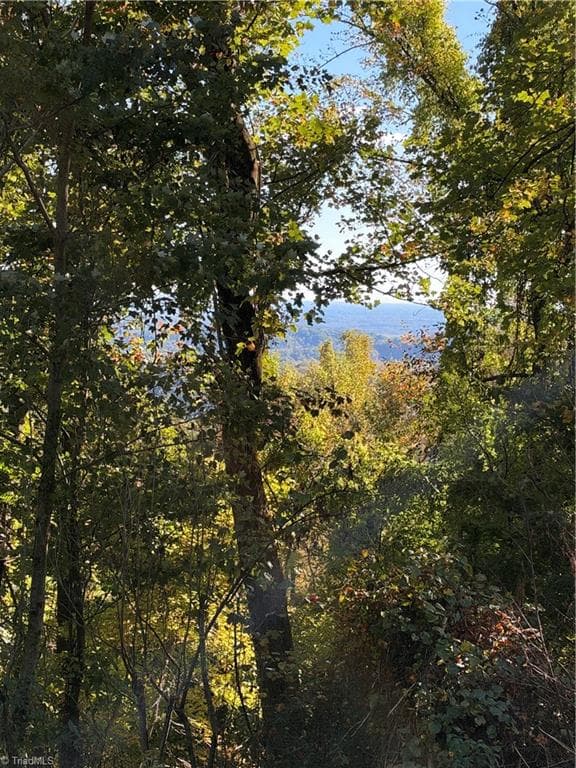 Unimproved Land at TBD Vannoy Ridge Road, Moravian Falls NC 28654, photo 39 of 46