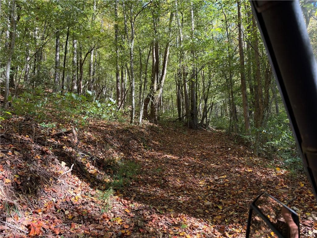 Unimproved Land at TBD Vannoy Ridge Road, Moravian Falls NC 28654, photo 8 of 46