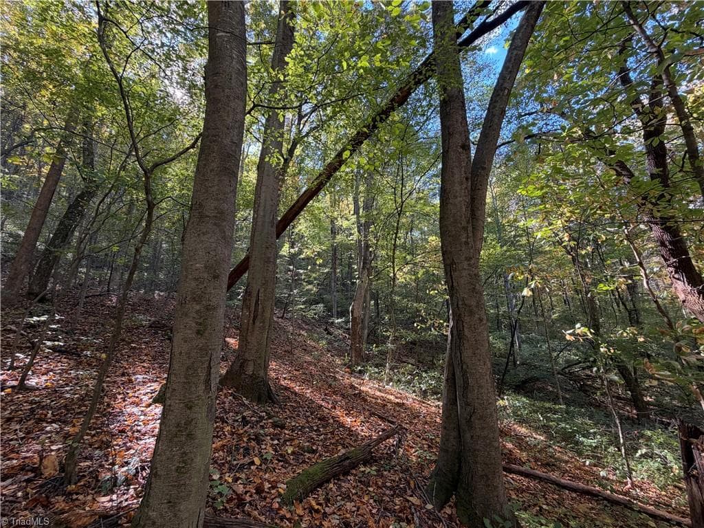 Unimproved Land at TBD Vannoy Ridge Road, Moravian Falls NC 28654, photo 25 of 46