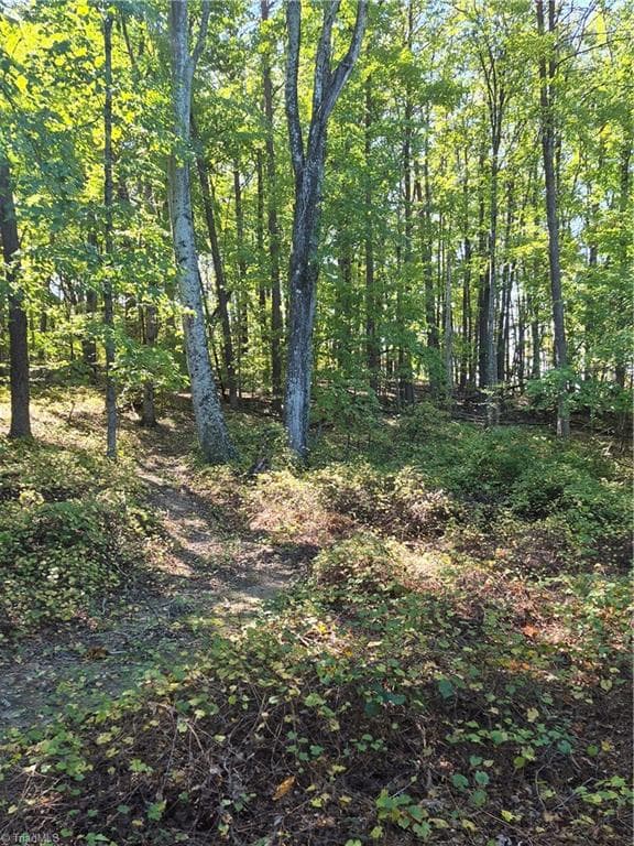 Unimproved Land at 1225 Perch Road, Pinnacle NC 27043, photo 2 of 10