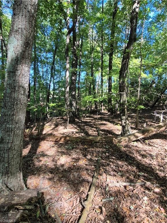 Unimproved Land at 1225 Perch Road, Pinnacle NC 27043, photo 6 of 10