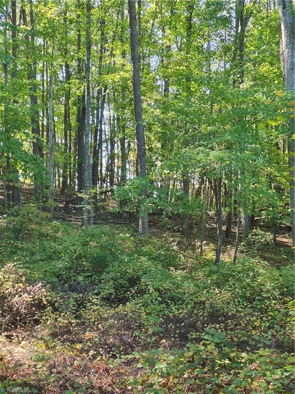 Unimproved Land at 1225 Perch Road, Pinnacle NC 27043, photo 3 of 10