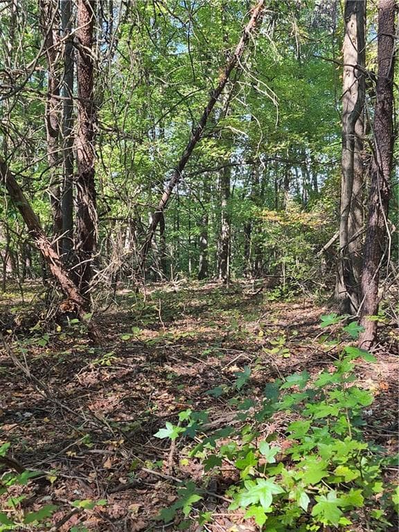 Unimproved Land at 1225 Perch Road, Pinnacle NC 27043, photo 5 of 10