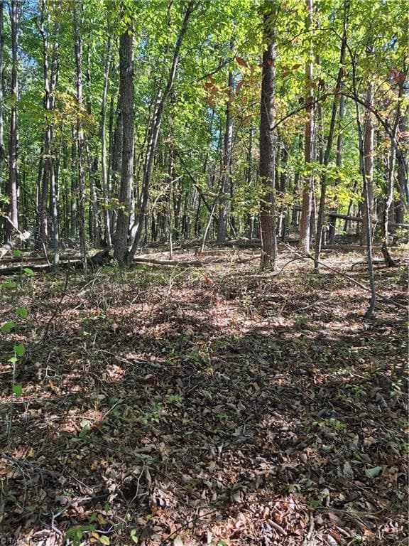 Unimproved Land at 1225 Perch Road, Pinnacle NC 27043, photo 8 of 10