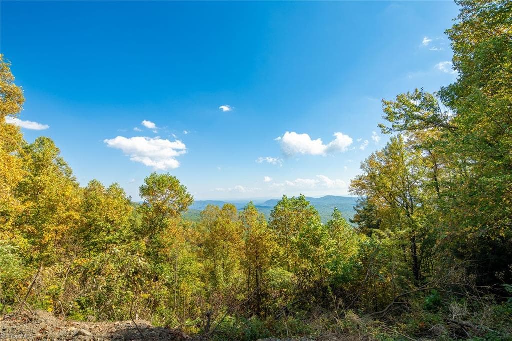 Stick/Site Built at 1138 Lump Road, Purlear NC 28665, photo 46 of 49