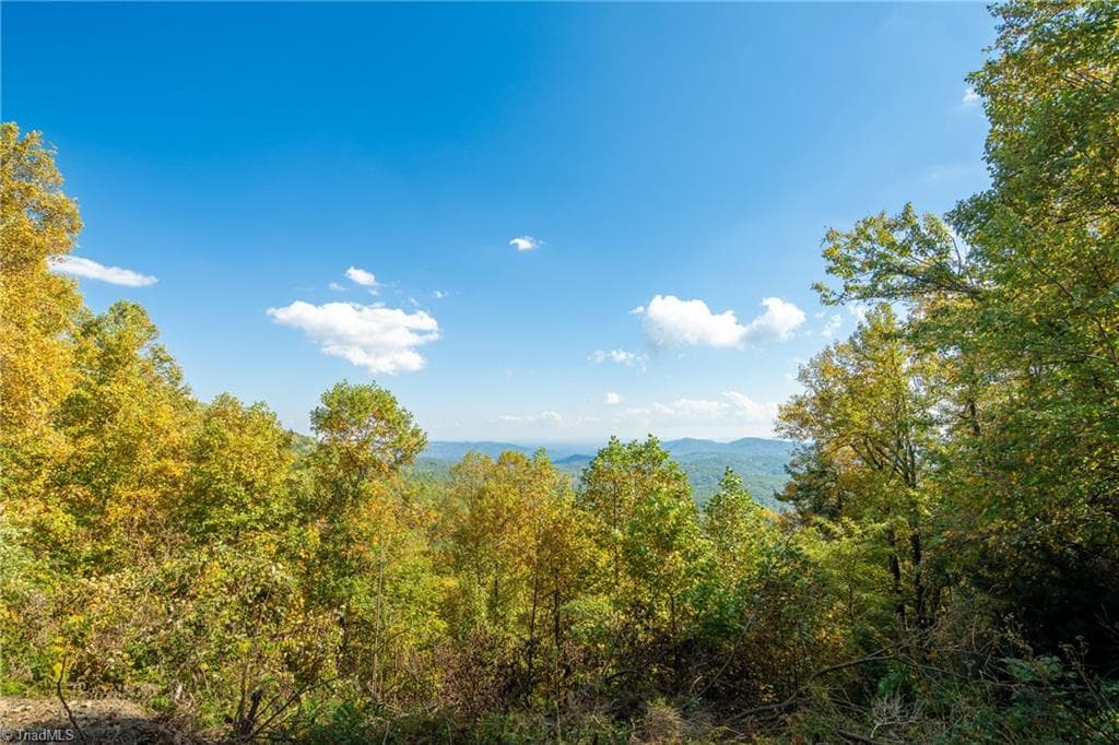 Stick/Site Built at 1138 Lump Road, Purlear NC 28665, photo 47 of 49
