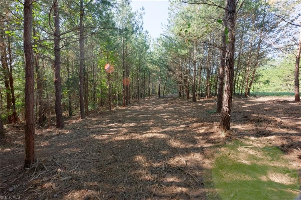 Unimproved Land at 13 Morrison Road, Morganton NC 28655, photo 2 of 16