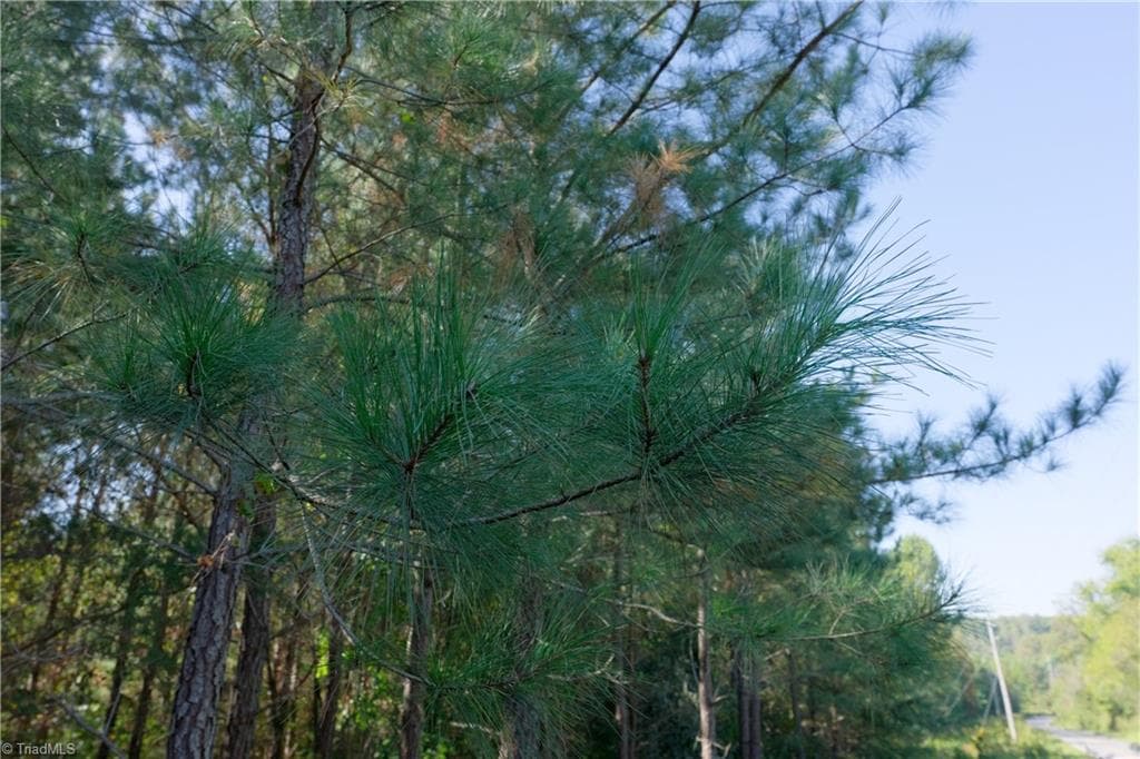 Unimproved Land at 13 Morrison Road, Morganton NC 28655, photo 5 of 16