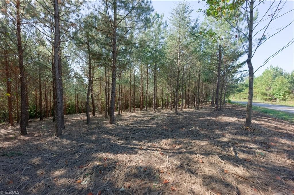 Unimproved Land at 14 Morrison Road, Morganton NC 28655, photo 7 of 18