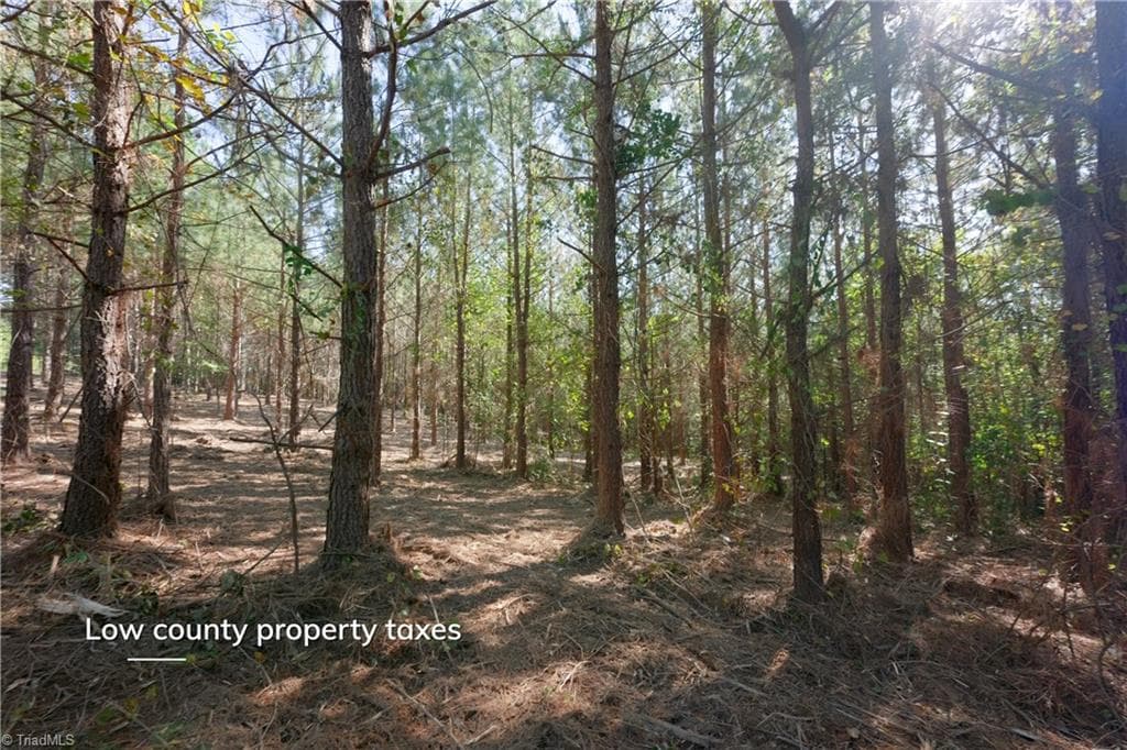Unimproved Land at 14 Morrison Road, Morganton NC 28655, photo 5 of 18