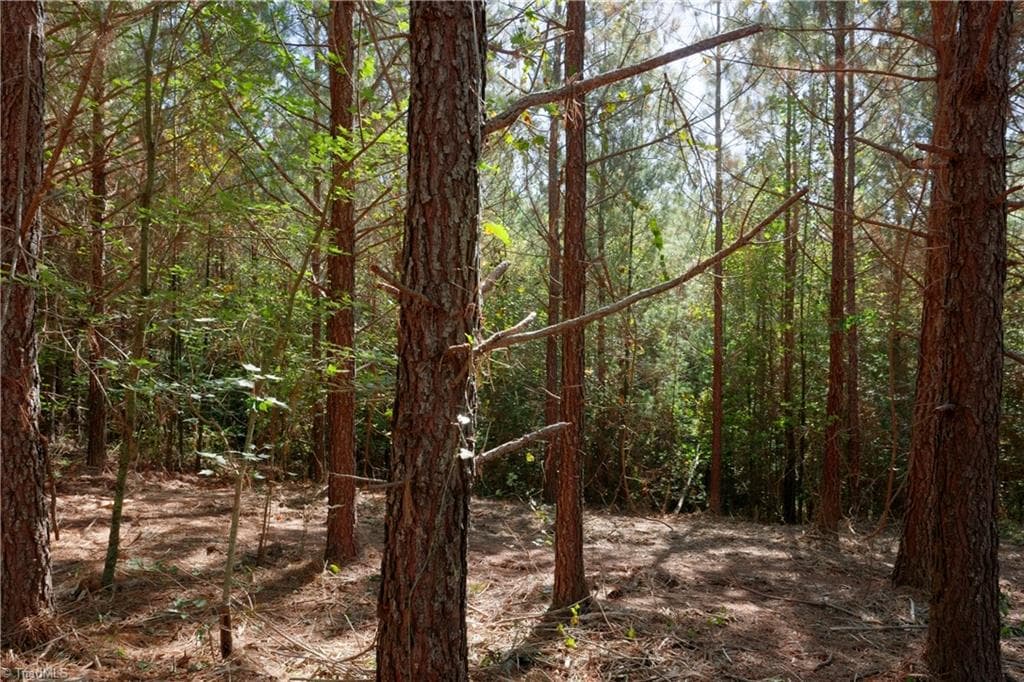 Unimproved Land at 14 Morrison Road, Morganton NC 28655, photo 4 of 18