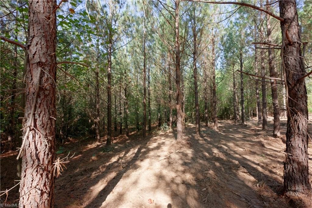 Unimproved Land at 15 Morrison Road, Morganton NC 28655, photo 6 of 16