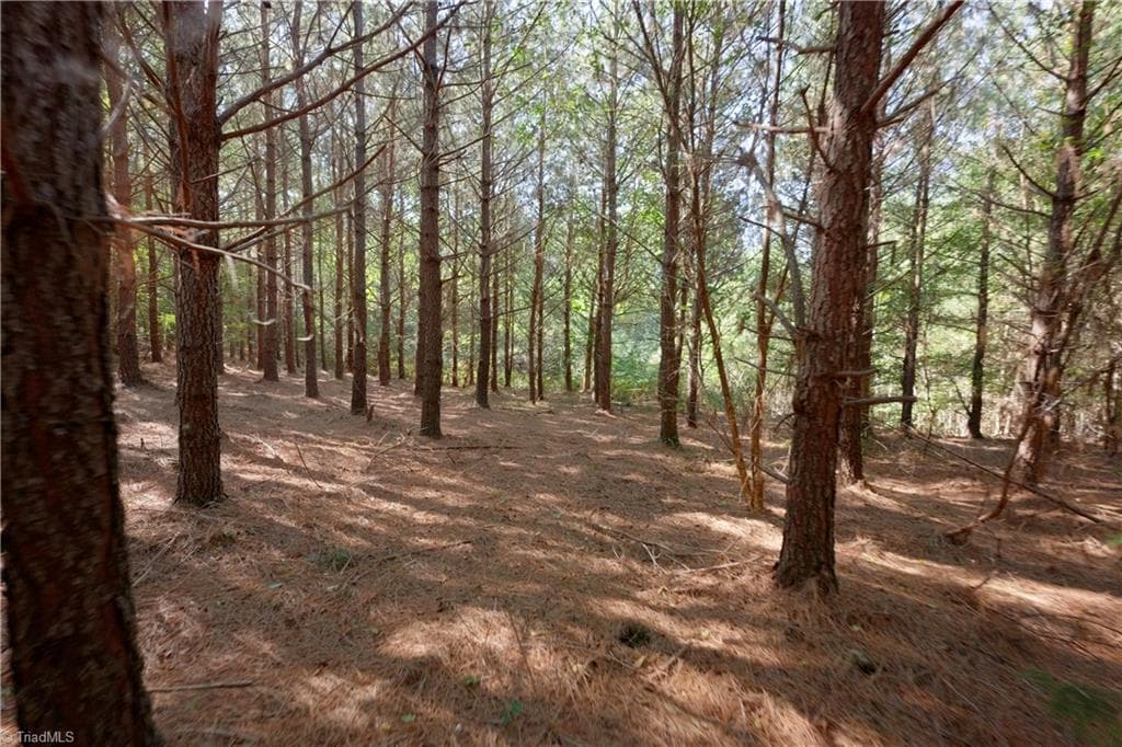 Unimproved Land at 15 Morrison Road, Morganton NC 28655, photo 7 of 16