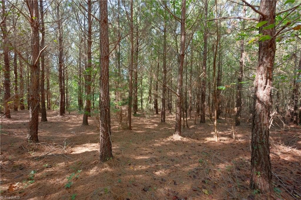 Unimproved Land at 15 Morrison Road, Morganton NC 28655, photo 3 of 16