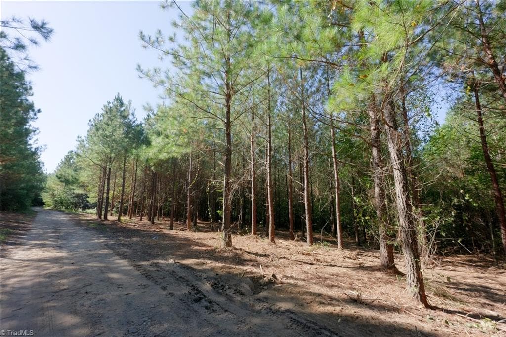 Unimproved Land at 15 Morrison Road, Morganton NC 28655, photo 9 of 16