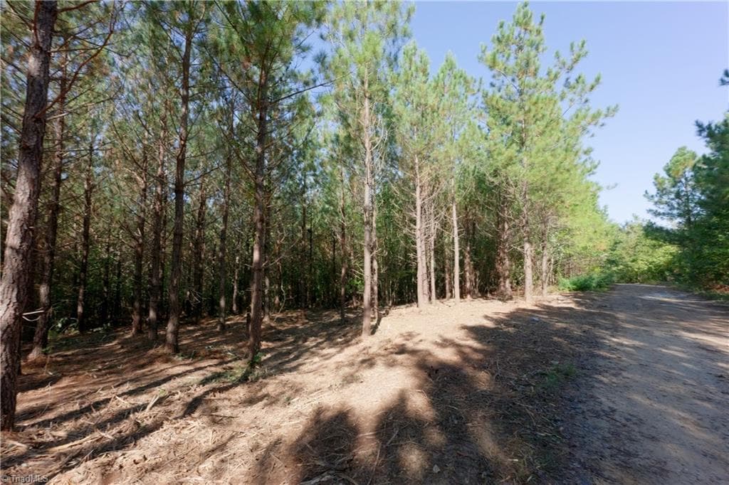 Unimproved Land at 15 Morrison Road, Morganton NC 28655, photo 10 of 16