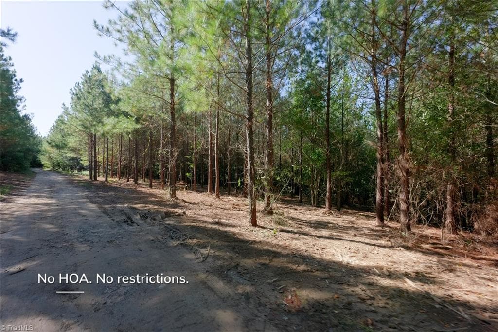 Unimproved Land at 15 Morrison Road, Morganton NC 28655, photo 8 of 16