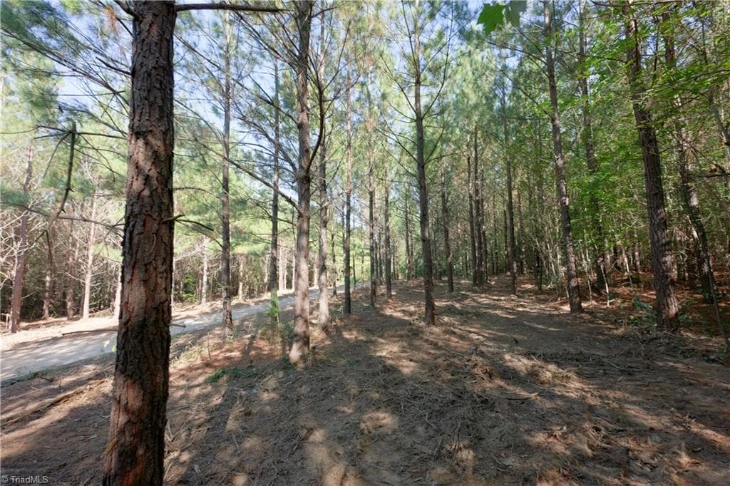 Unimproved Land at 16 Morrison Road, Morganton NC 28655, photo 3 of 9