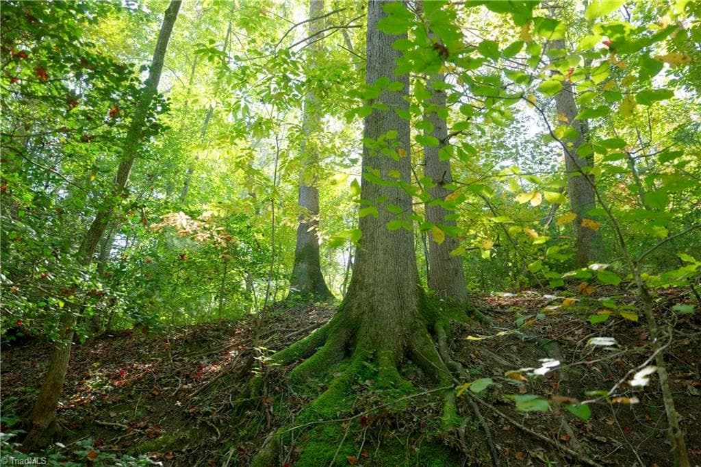 Unimproved Land at 17 Morrison Road, Morganton NC 28655, photo 3 of 15