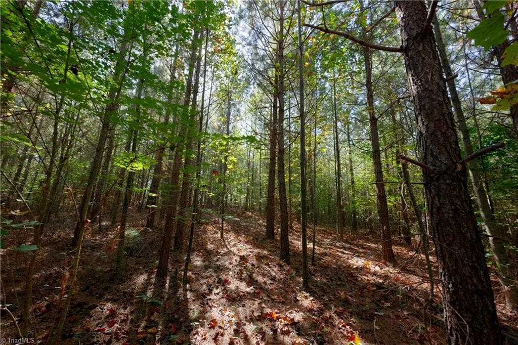 Unimproved Land at 17 Morrison Road, Morganton NC 28655, photo 5 of 15