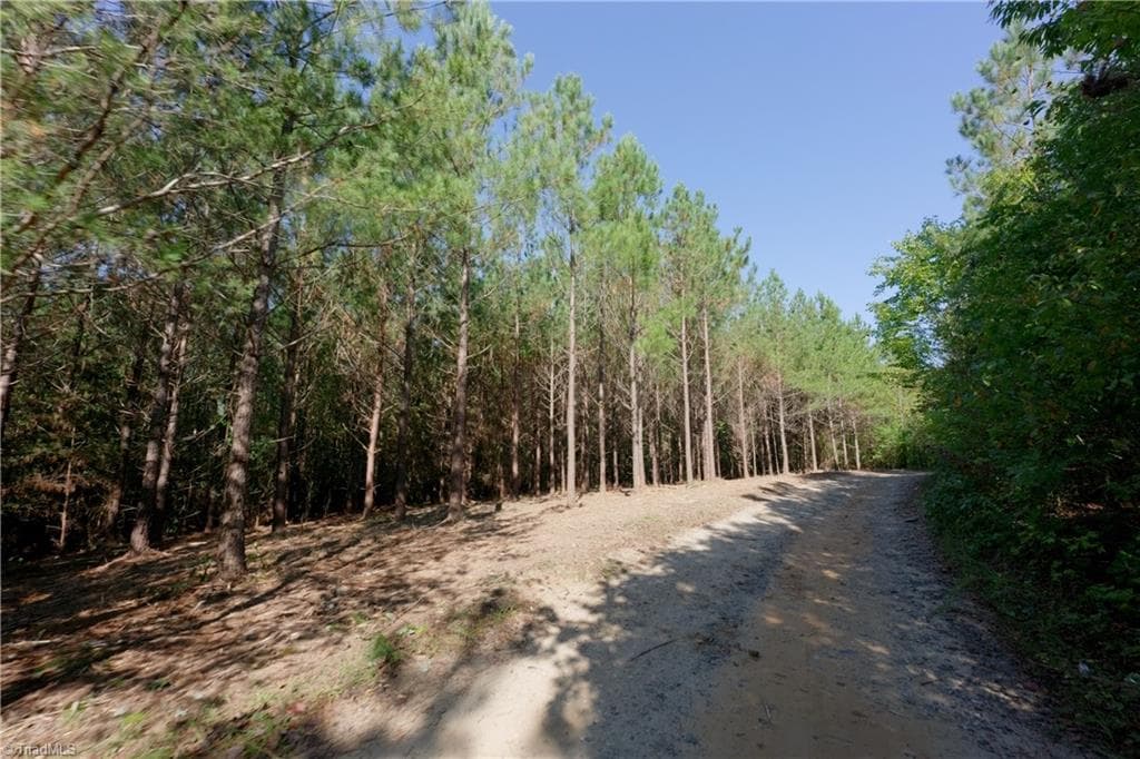 Unimproved Land at 17 Morrison Road, Morganton NC 28655, photo 9 of 15
