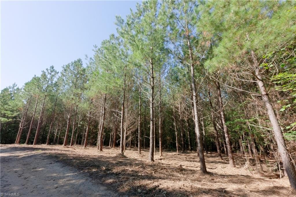 Unimproved Land at 17 Morrison Road, Morganton NC 28655, photo 10 of 15