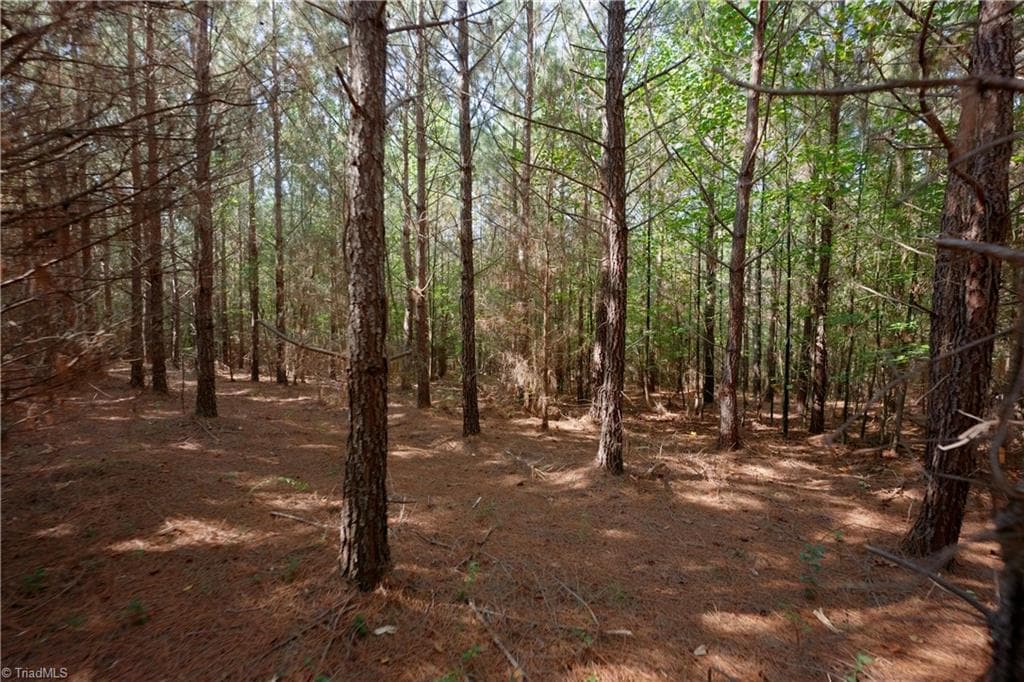 Unimproved Land at 17 Morrison Road, Morganton NC 28655, photo 4 of 15