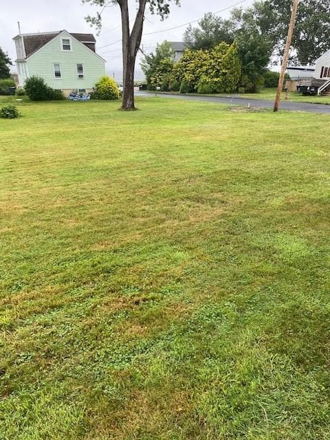 00 Grove Avenue photo 9