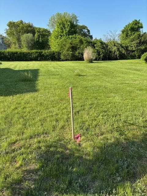 00 Grove Avenue photo 8