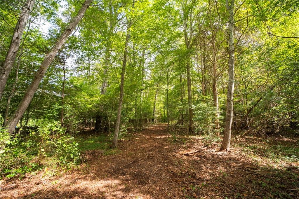 245 John Dyer Road photo 4