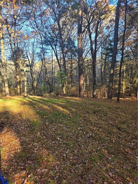 Unimproved Land at 0 Alton Braford Road, Hopkinton, photo 6 of 15