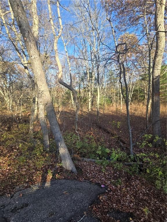 Unimproved Land at 0 Alton Braford Road, Hopkinton, photo 7 of 15