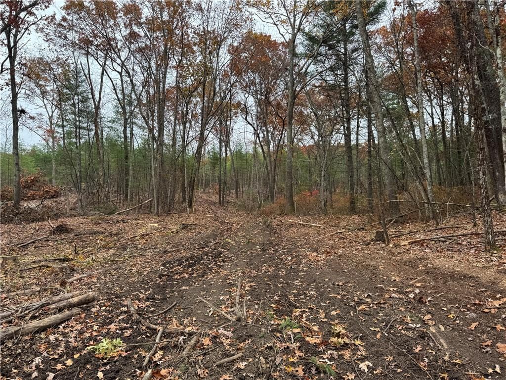 Unimproved Land at 0 Steere Farm Road, Burrillville, photo 6 of 18
