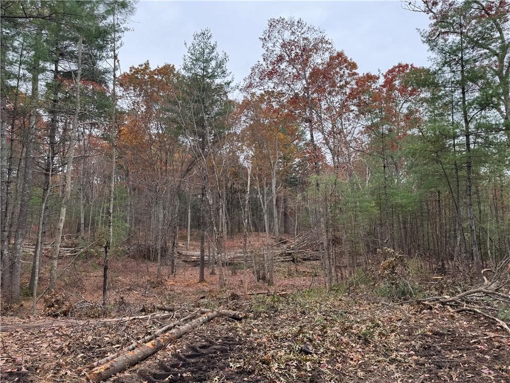 Unimproved Land at 0 Steere Farm Road, Burrillville, photo 13 of 18