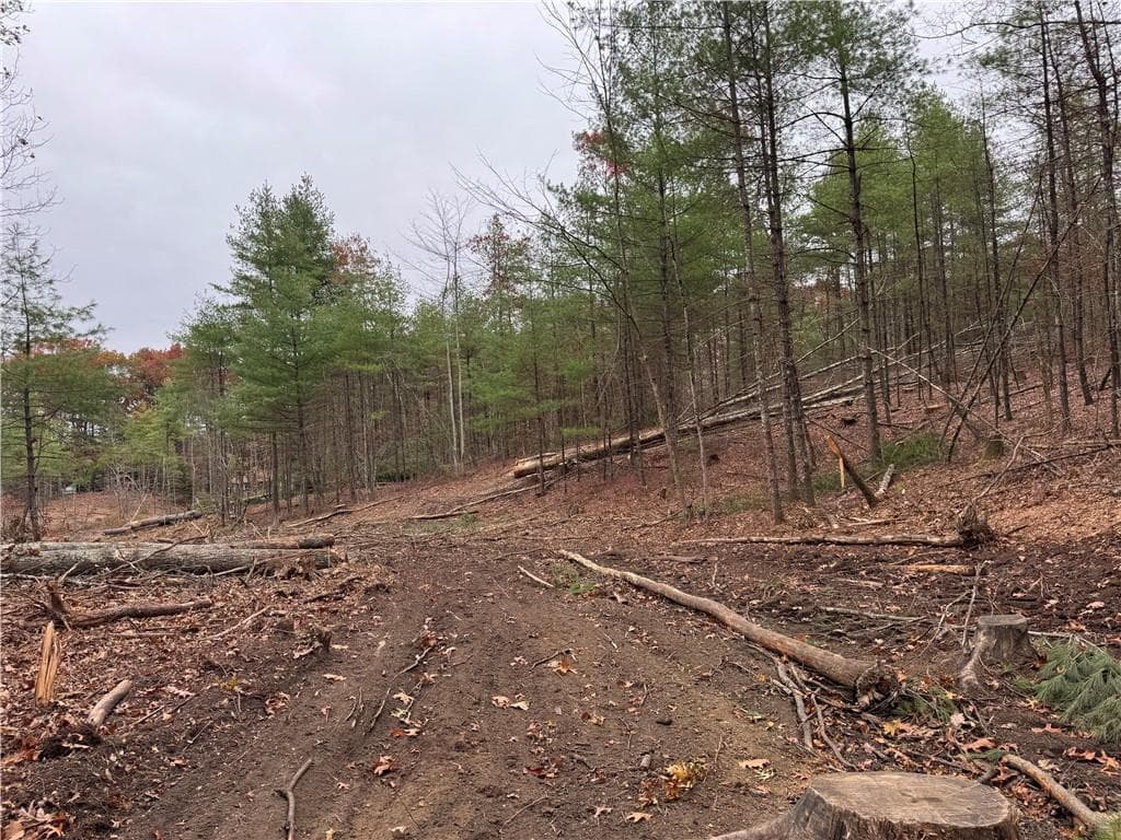 Unimproved Land at 0 Steere Farm Road, Burrillville, photo 3 of 18