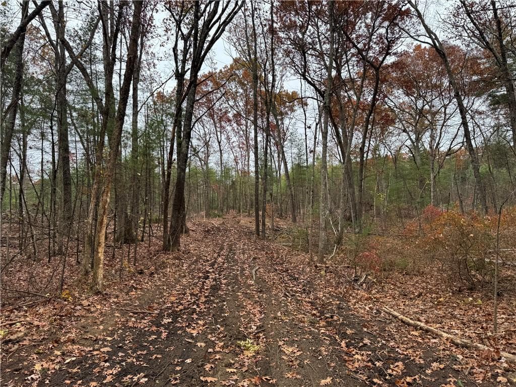 Unimproved Land at 0 Steere Farm Road, Burrillville, photo 5 of 18