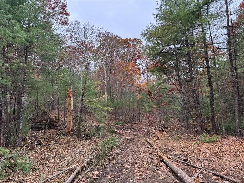 Unimproved Land at 0 Steere Farm Road, Burrillville, photo 10 of 18
