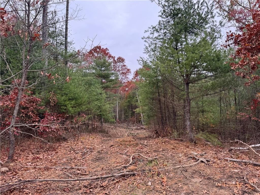 Unimproved Land at 0 Steere Farm Road, Burrillville, photo 15 of 18