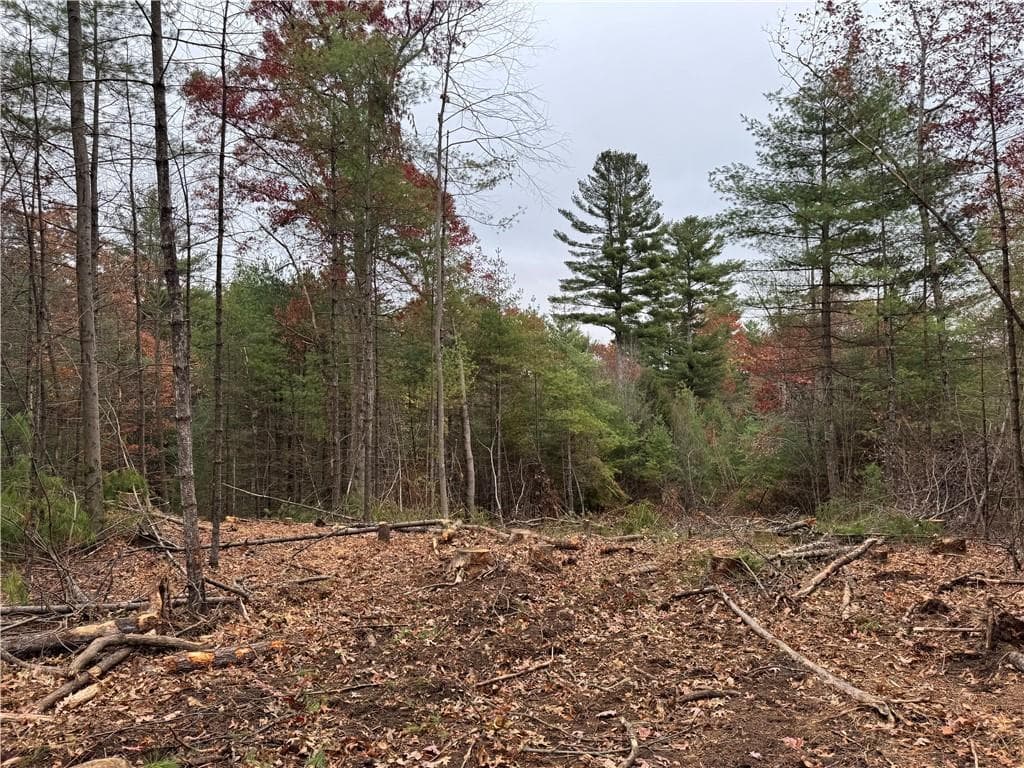 Unimproved Land at 0 Steere Farm Road, Burrillville, photo 11 of 18