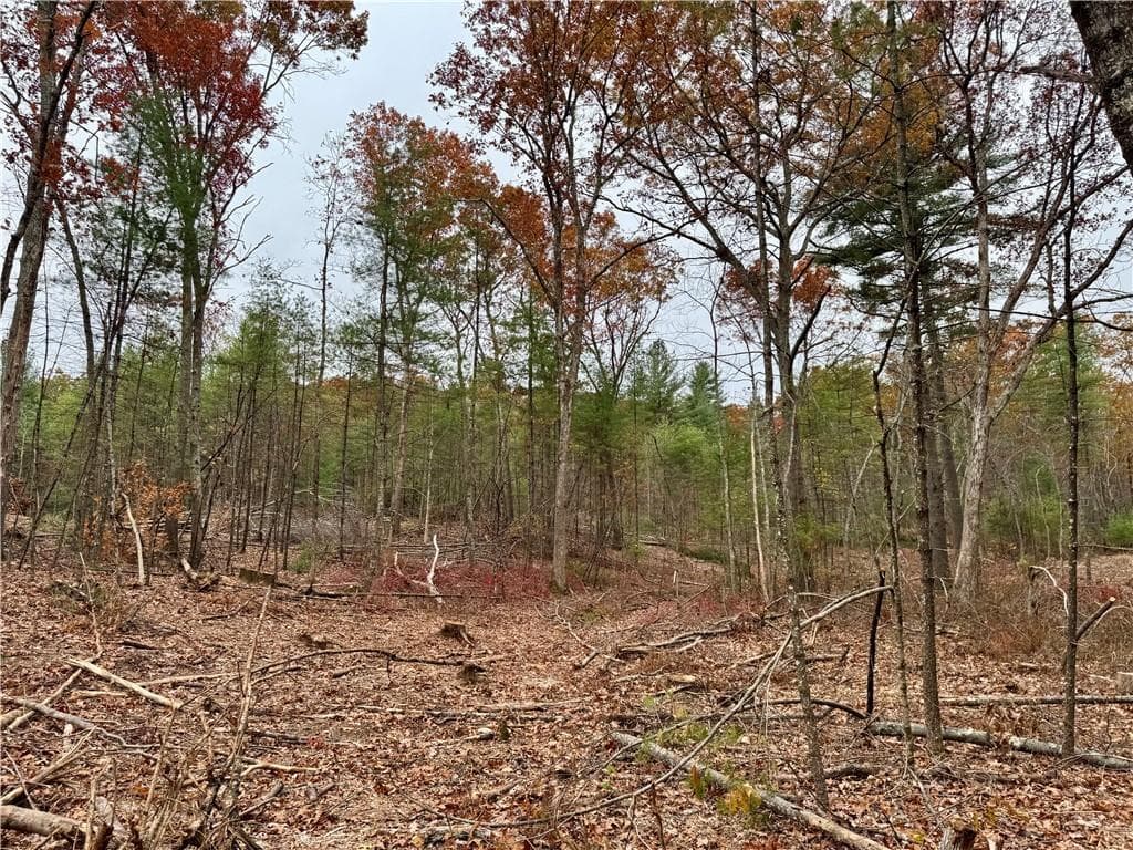 Unimproved Land at 0 Steere Farm Road, Burrillville, photo 4 of 18