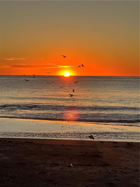 813 Ocean Road photo 28